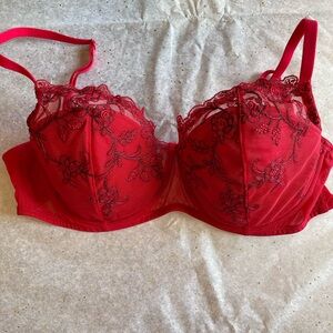 Jezebel Red w/ Black Embroidery Underwire Bra 36D